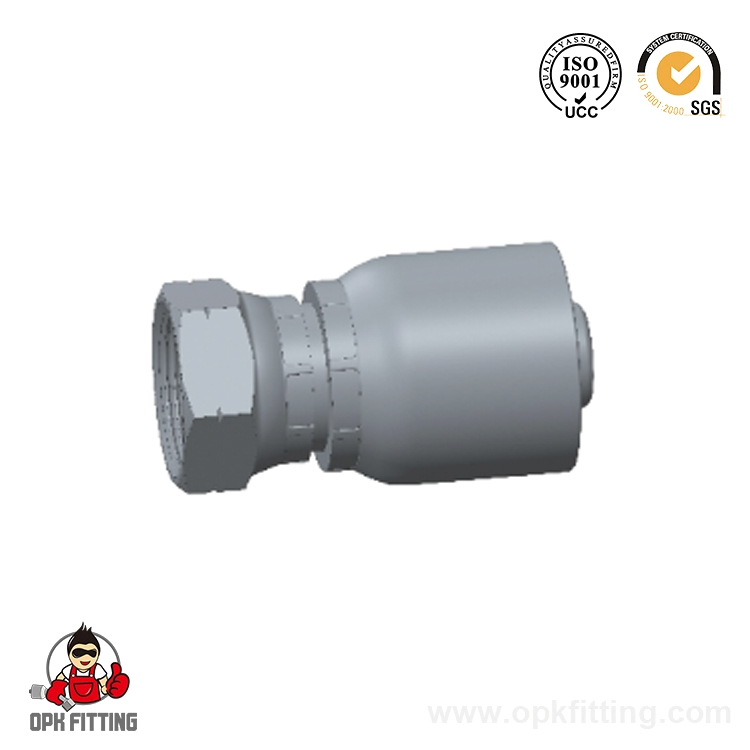 22611-RW BSP Female 60° Cone